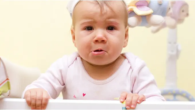 Courtesy ShutterStock.com