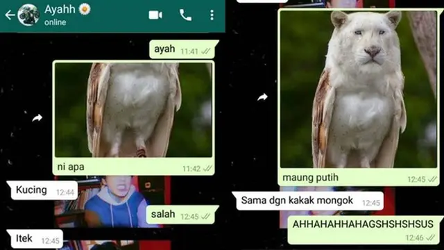 6 Chat Tebak Gambar Ini Sukses Bikin Kamu Ikut Emosi