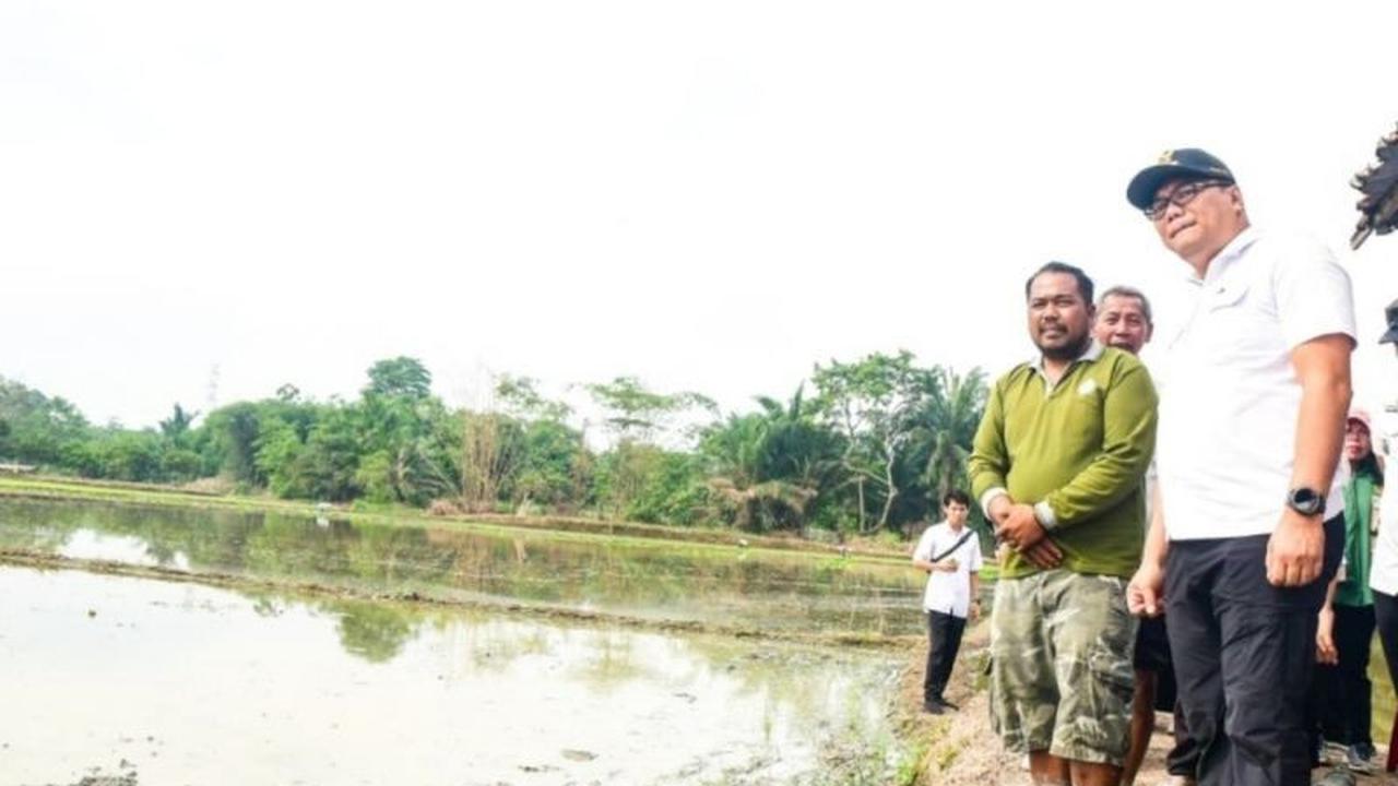 Pemkab Deli Serdang Gerak Cepat Tangani Aspirasi Petani: Fokus Perbaikan Irigasi dan Infrastruktur Pertanian
