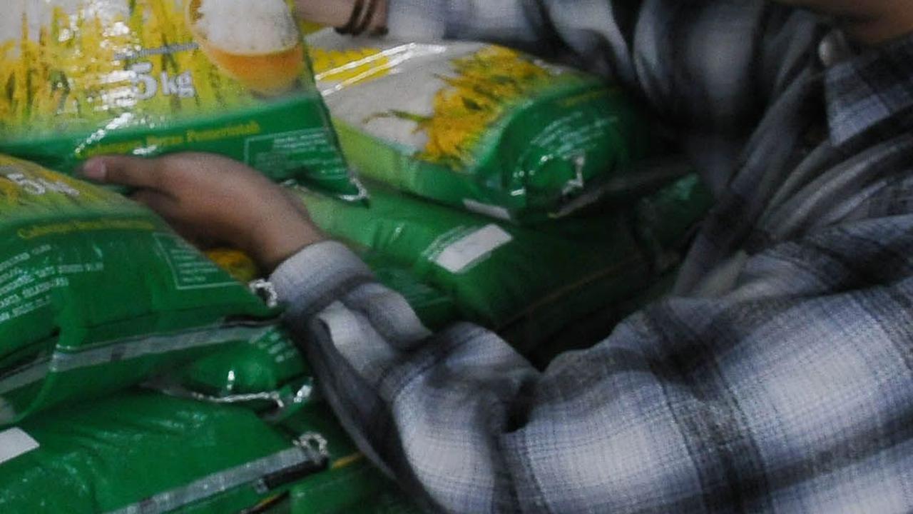 Kepala Badan Pangan Nasional (Bapanas/NFA) Arief Prasetyo Adi memastikan cadangan beras pemerintah dalam kondisi aman. Menyusul Bulog sudah menguasai sekitar 1,6 juta ton beras.