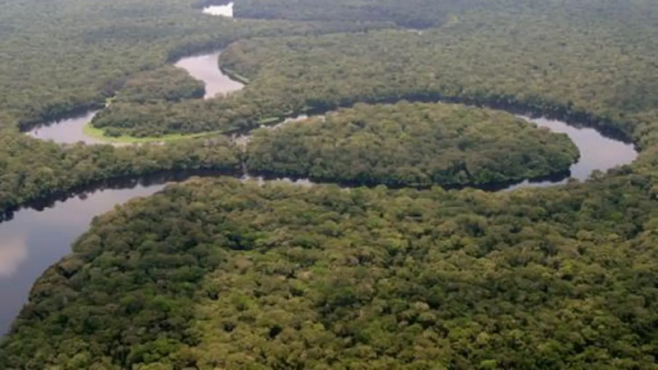 Taman Nasional Salonga