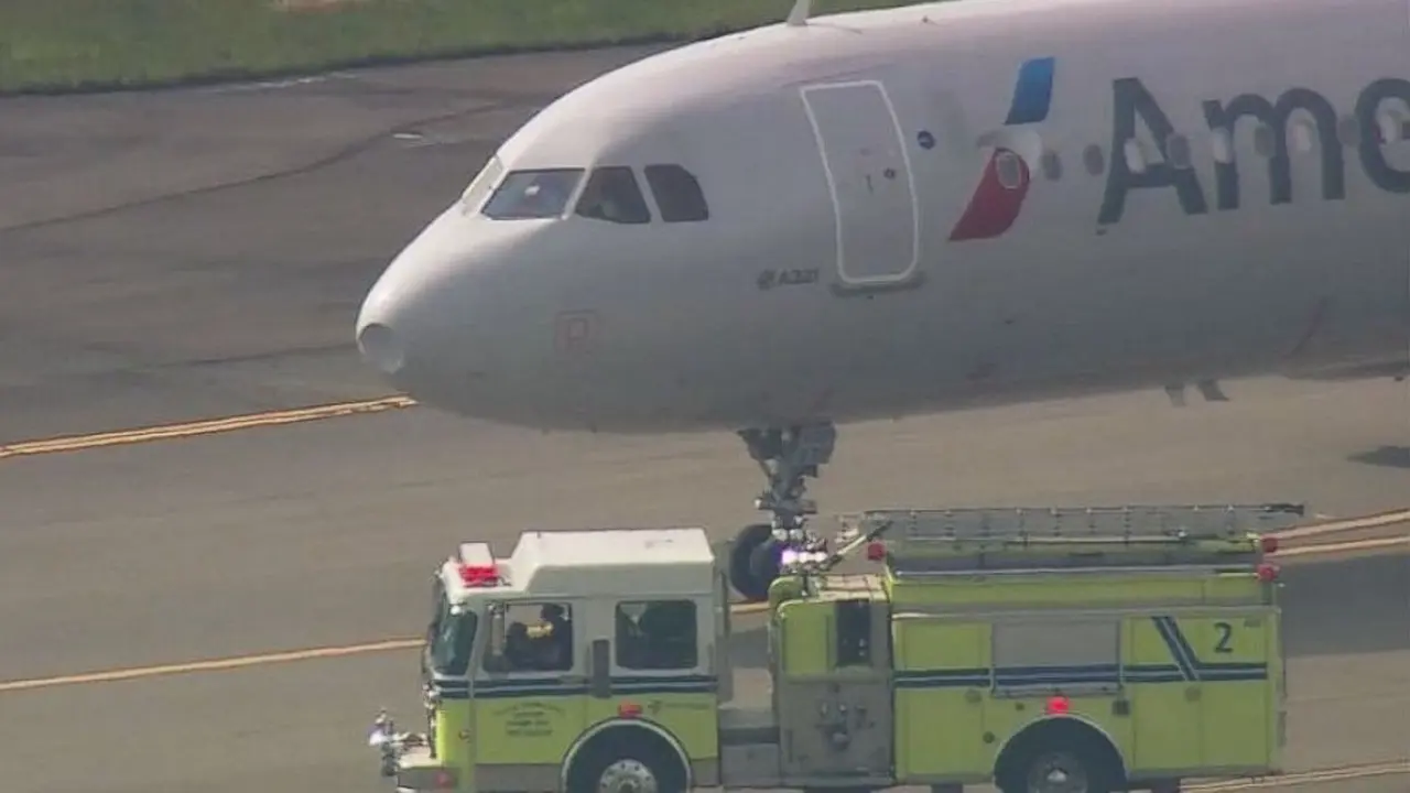 Menabrak Burung, American Airlines Putar balik