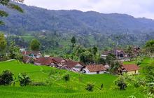 Kampung di Tasikmalaya Ini Bikin Betah, Posisinya di Tengah Sawah yang Dikelilingi Bukit Terasering Hijau