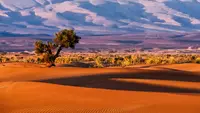 Top 9 Places to Visit in Morocco That Are Truly Magical