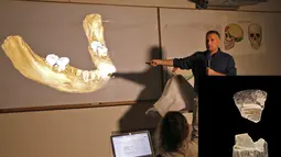 Liran Carmel menjelaskan bagian gigi spesies manusia prasejarah Denisovan selama konferensi pers di Universitas Ibrani di Yerusalem (19/9/2019). Denisovans punah sekitar 15.000 tahun yang lalu dan banyak tentang mereka tetap menjadi misteri. (AFP Photo/Menahem Kahana)