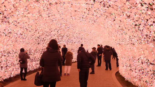 Sakura tunnel di Nabana no sato
