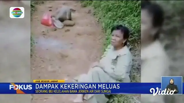 Perbarui informasi Anda bersama Fokus edisi (05/08) dengan berita-berita sebagai berikut, Kabel Semrawut di Ibu Kota, Dampak Kekeringan Meluas, Karnaval Binatang Peliharaan.