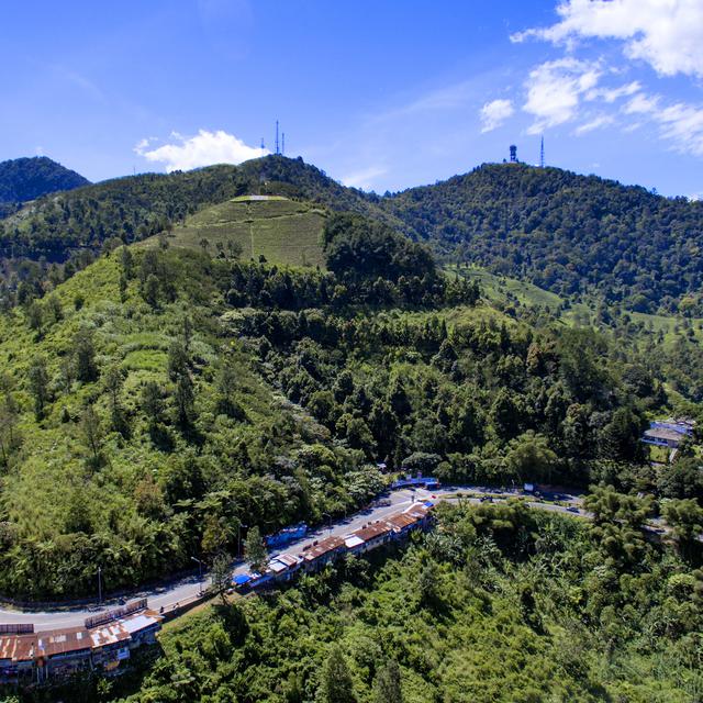 7 Wisata Puncak Bogor Yang Wajib Kamu Kunjungi Cocok Buat