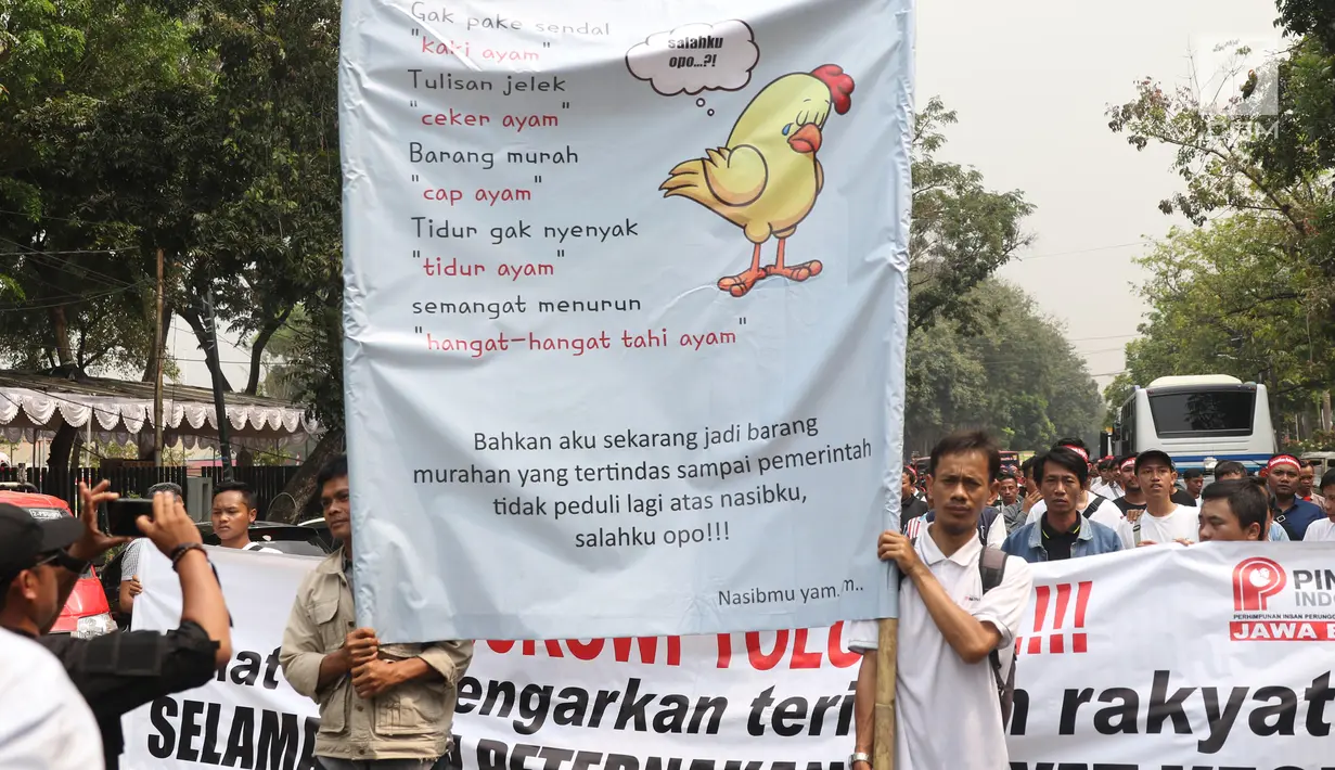Peternak ayam membawa spanduk saat menggelar aksi di depan Kementerian Koordinator Bidang Perekonomian, Jakarta, Kamis (5/9/2019). Ratusan peternak ayam menuntut pemerintah turun tangan menyelesaikan permasalahan harga ayam hidup di tingkat peternak yang kembali anjlok. (Liputan6.com/Angga Yuniar)