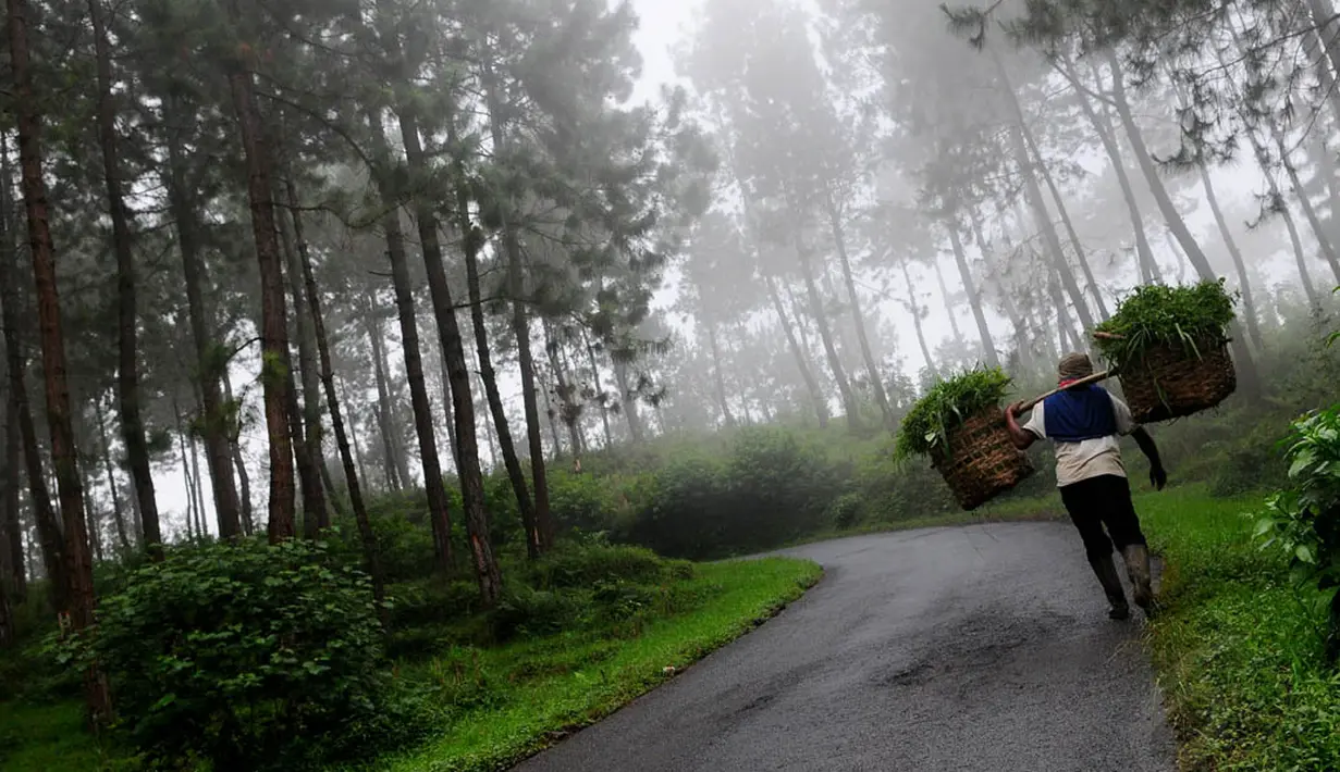 Desa Dukuh Sawangan merupakan zona merah karena berjarak hanya 4 km dari puncak gunung Slamet dan merupakan desa terakhir di kaki Gunung Slamet. (Liputan6.com/Andrian M Tunay)