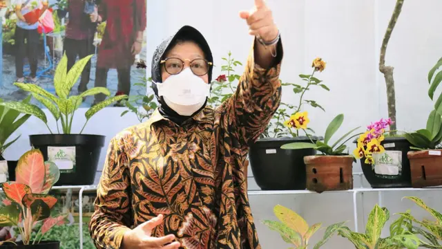 Menteri Sosial Tri Rismaharini