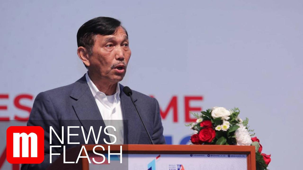 VIDEO: Pemerintah Tiru Strategi Vietnam dan Singapura untuk Tarik Investor