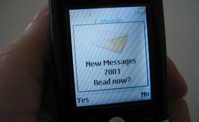 Ilustrasi pesan teks di telepon genggam. (Sumber Flickr/Nate Steiner untuk ranah publik)