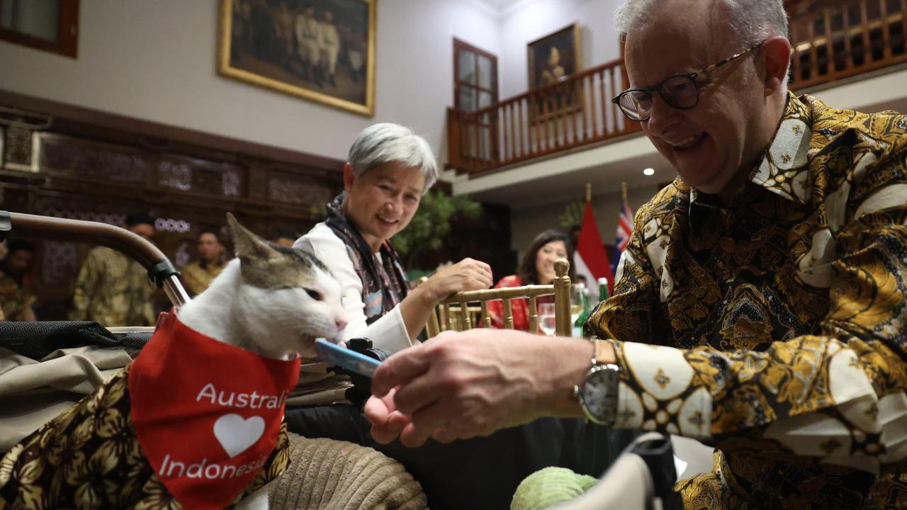 Hadiah Spesial Kalung Syal dari PM Australia untuk Kucing Prabowo Bobby Kertanegara