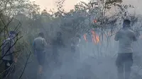 Kebakaran Way Kambas Meluas, Diduga Sengaja Dibakar