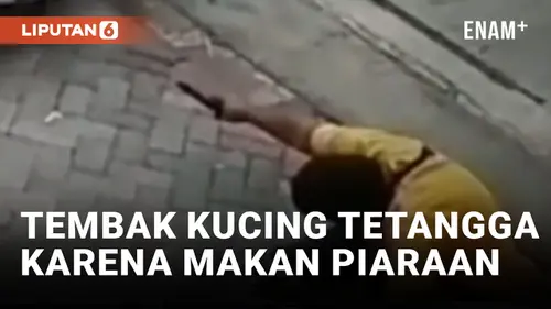 VIDEO: Tembak Kucing Tetangga, Pria di Semarang Mengaku Kesal karena Burung Peliharaan Diterkam