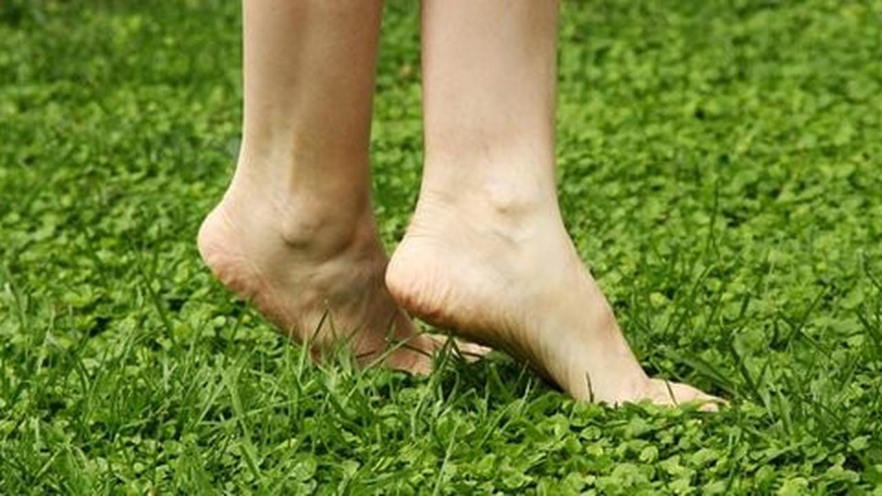 Kaki kering