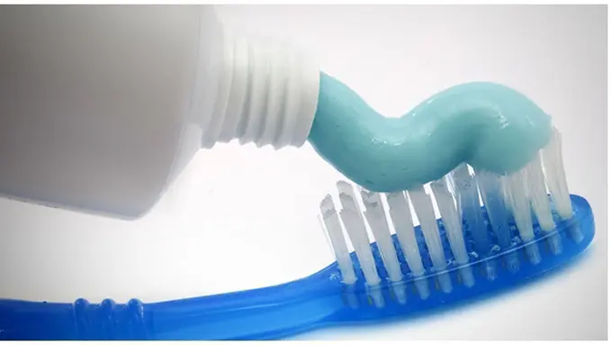 Foto: copyright shutterstock.com