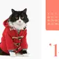 Tak hanya manusia, kini seekor kucingpun dapat menjadi model kalender.