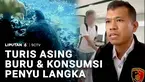 Pariwisata Indonesia tercoreng ulah wisatawan asing. Penyu sisik, yang langka dan dilindungi, diduga diburu dan dimasak oleh warga negara Tiongkok, di perairan Raja Ampat, Papua Barat Daya. Ia kini berurusan dengan imigrasi dan polisi.