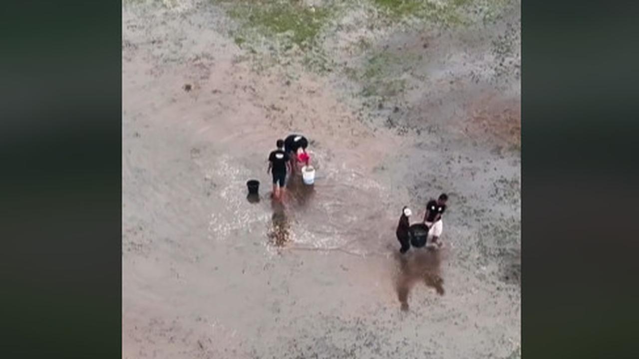 Jadi Sorotan Publik, Begini Penampakan Stadion di Kebumen Mirip Sawah