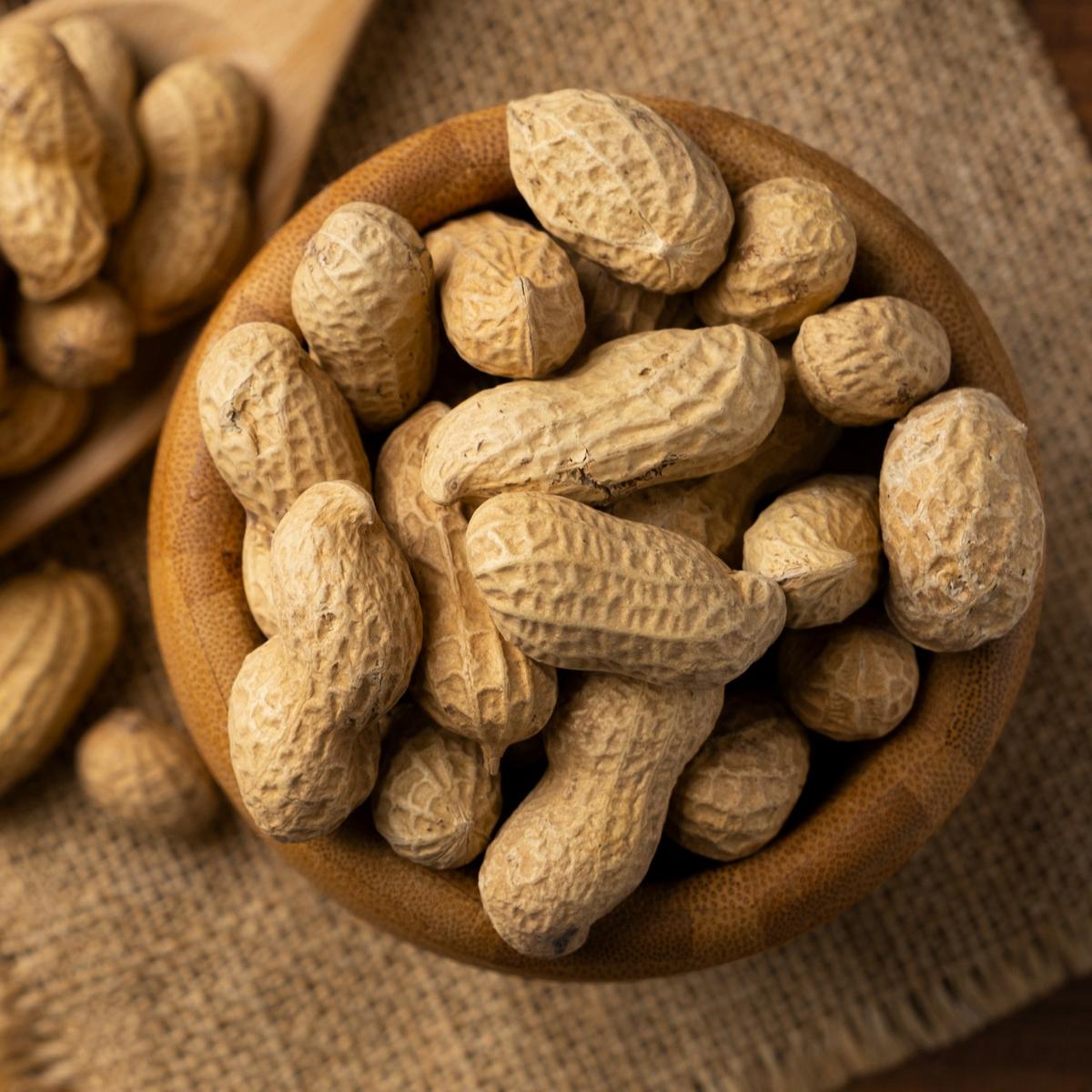 kacang tanah