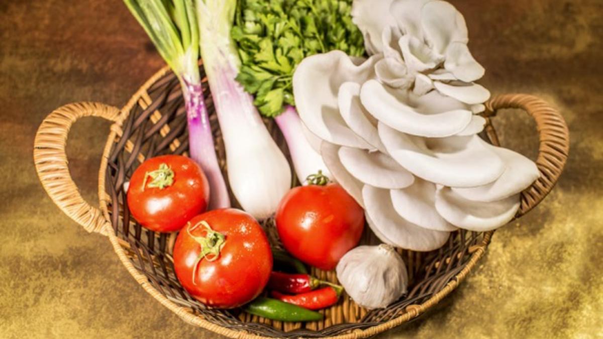 Cara Budidaya Jamur Tiram di Rumah Kecil Panen 30 Hari, Praktis dan Produktif