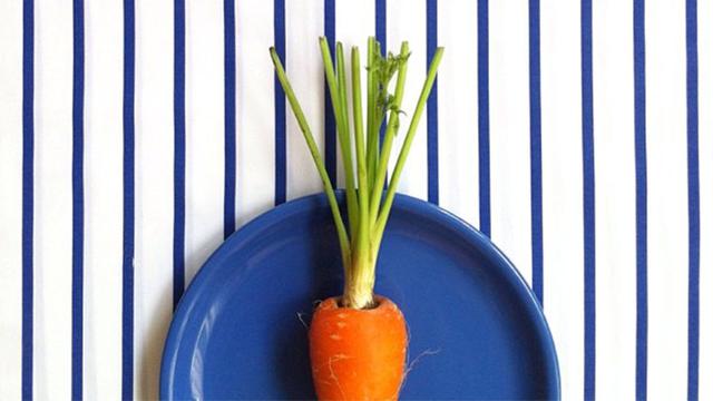 Setop Membuang Daun Wortel Yang Bisa Bermanfaat Bagi Anda Lifestyle Liputan6 Com