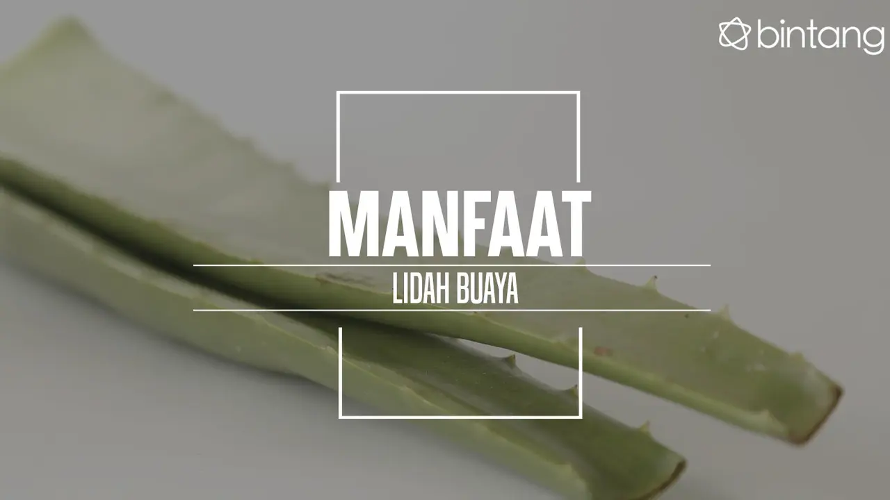 Manfaat lidah buaya yang harus kamu tahu. (Foto: Daniel Kampua, Digital Imaging: Nurman Abdul Hakim/Bintang.com)