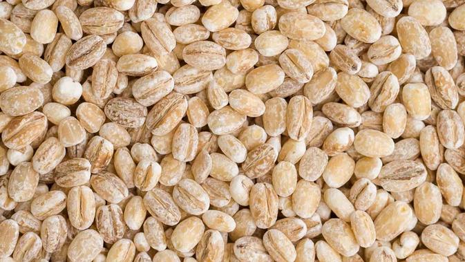 Berita Manfaat Barley untuk kesehatan Hari Ini - Kabar ...