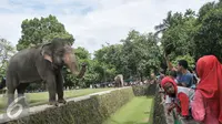 Sejumlah pengunjung melihat binatang gajah di Kebun Binatang Ragunan, Jakarta Selatan, Senin (12/12). Libur Maulid Nabi Muhammad SAW, Kebun Binatang Ragunan diserbu warga yang ingin menikmati waktu libur bersama keluarga. (Liputan6.com/Yoppy Renato)