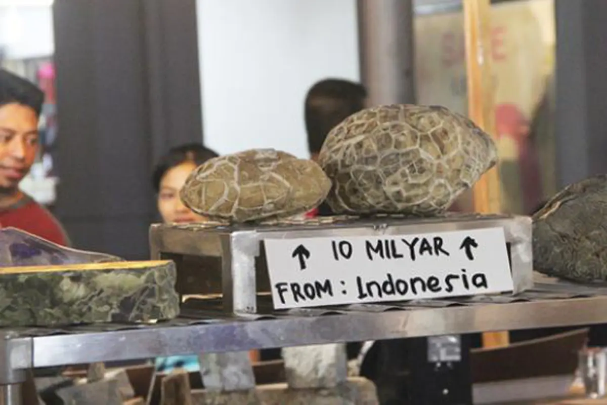 Batu Akik Motif Kura-kura di Jakarta Fair, Dihargai Rp 10 Miliar
