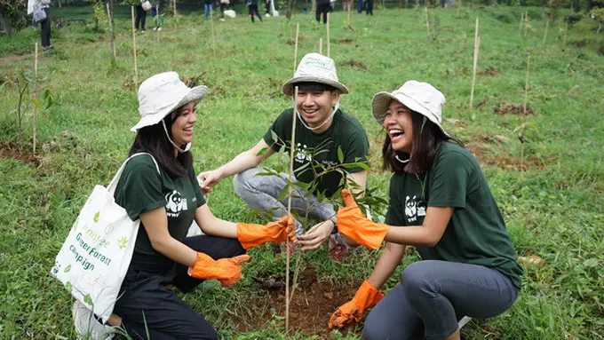 Generasi milenial dukung penghijauan hutan