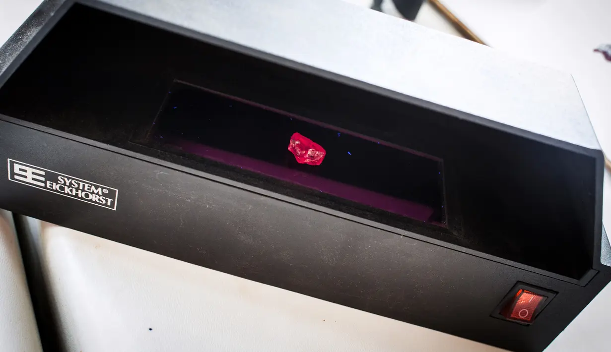 Proses batu ruby yang berhasil didapatkan dari penambangan Gemfields di Montepuez, Mozambik (14/2). Batu ruby ini adalah salah satu batu permata berwarna yang berharga tinggi. (AFP/John Wessels)