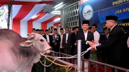 MenPAN-RB, Yuddy Chrisnandi (kiri) mewakili Presiden Jokowi menyerahkan hewan kurban ke panitia di Masjid Istiqlal Jakarta, Kamis (24/9/2015). Bobot hewan kurban Presiden Jokowi mencapai 1,3 ton. (Liputan6.com/Helmi Fithriansyah)