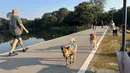 Warga juga membawa hewan peliharaannya untuk berolahraga di tepi Danau Angkaew di Chiang Mai, Thailand, Senin (8/12/2025). (Bola.com/Bagaskara Lazuardi)