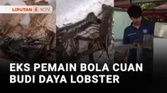 Banting stir dari lapangan hijau ke budidaya lobster air tawar, seorang pemuda di Bandung, Jawa Barat, meraih sukses. Usaha itu kini mampu menghasilkan puluhan juta rupiah per bulan. Berikut Berani Berubah, Eks Pemain Bola Cuan Jutaan Rupiah Berjuala...