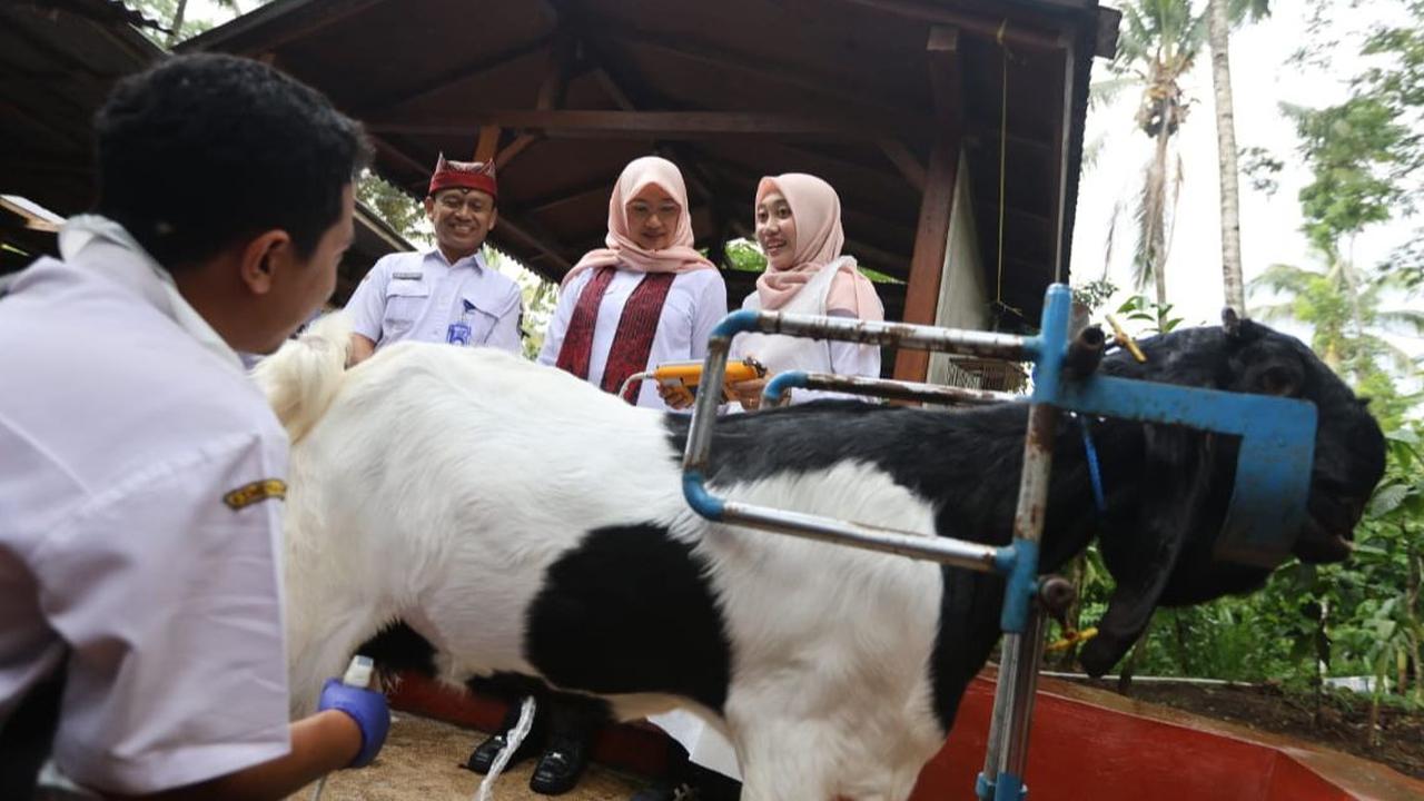 Banyak Tetangga Bergabung