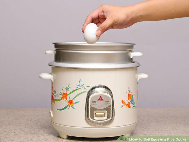 Foto: copyright wikihow.com