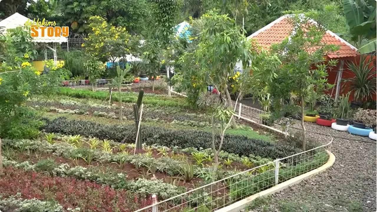 5 Potret Halaman Rumah Mamah Dedeh di Ciseeng Bogor, Asri Penuh Tanaman Hijau dan Kolam Ikan