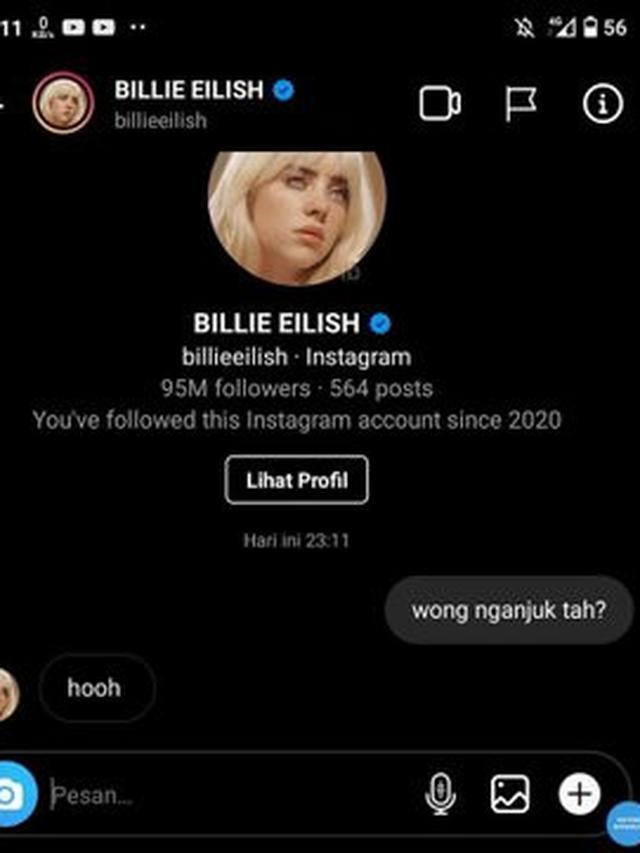 6 Editan Foto Billie Eilish Jadi Orang Nganjuk Ini Bikin Ngakak
