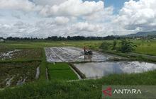 DKPP Bantul Siapkan Ribuan Pompa Air untuk Antisipasi Kemarau Pertanian 2026