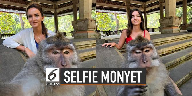 VIDEO: Di Balik Layar Foto Selfie Monyet dan Manusia