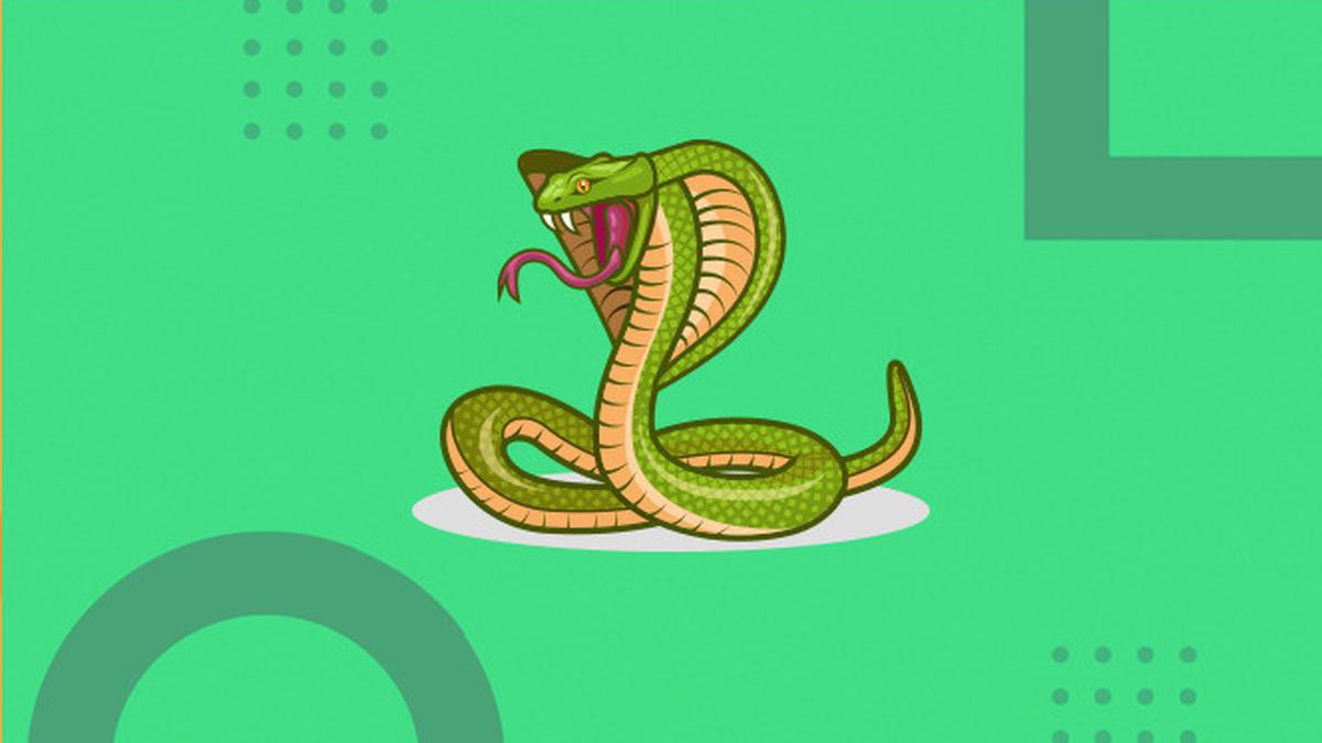 Eng yaxshi porno yulduzlar POV video