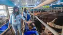 Di Mall Hewan Qurban H. Doni, para SPG tampil dengan pakaian rapi dan riasan menyerupai pramugari. Tampak dalam foto, dua Sales Promotion Girl (SPG) dengan mengenakan kostum ala pramugari menunjukkan hewan qurban di Mall Hewan Qurban H. Doni, Depok, Jawa Barat, Senin (11/5/2026). (merdeka.com/Arie Basuki)