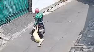 Nenek 70 Tahun Dijambret Pemotor Berjaket Ojol hingga Terseret di Aspal