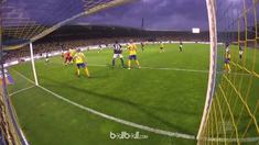 Vieirinha selamatkan Wolfsburg dari degradasi berkat gol apik ini.