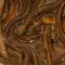 Cara Ternak Belut Rumahan untuk Pemula, Panduan dari Persiapan hingga Panen