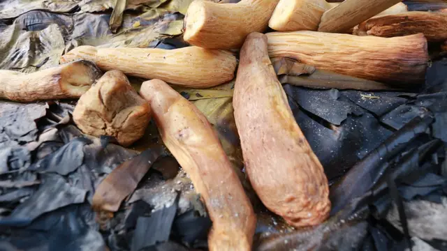 Barapen, Tradisi Paling Kuno di Papua