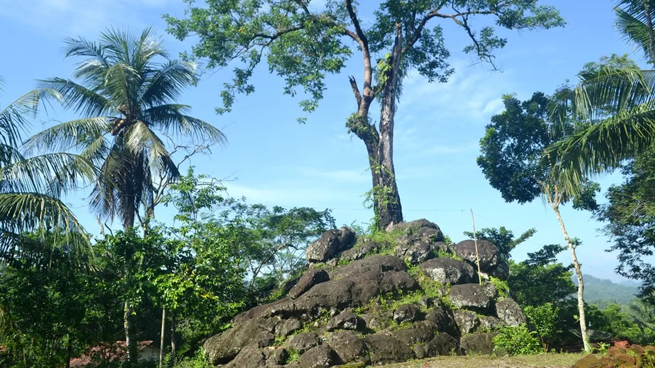 Misteri Pohon Keramat Berusia Ratusan Tahun yang Tumbuh di atas Batu Purba